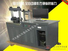 30噸恒應(yīng)力抗折抗壓一體機(jī)SFK-300/10型KN全自動(dòng)壓力